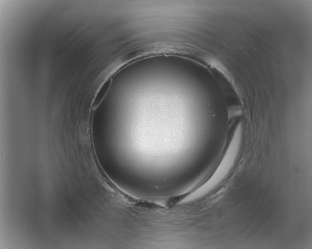 X0000066101089200603241512