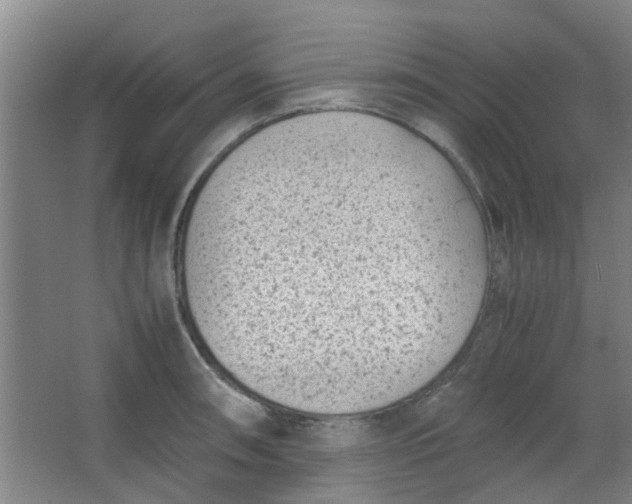 X0000066101090200603241512