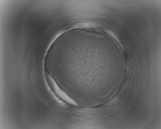 X0000066101091200603241512