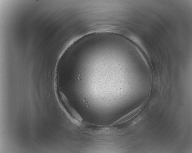 X0000066101093200603241512