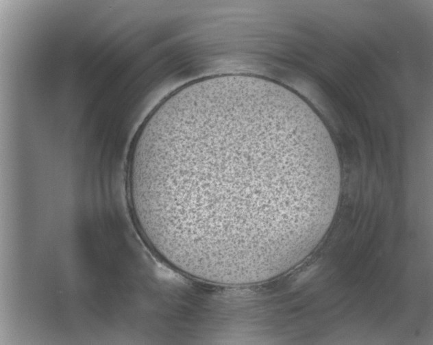 X0000066101094200603241512