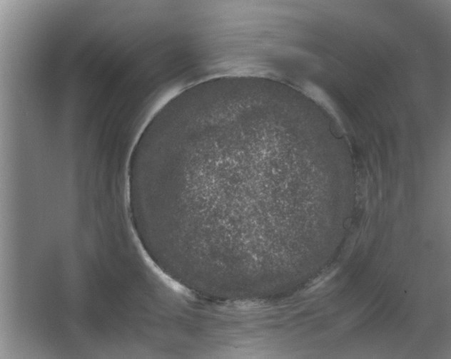 X0000066101095200603241512