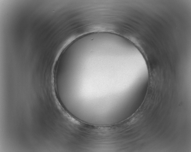 X0000066101096200603241512