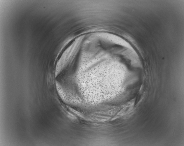 X0000066101097200603241512