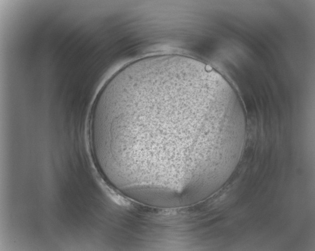 X0000066101098200603241512