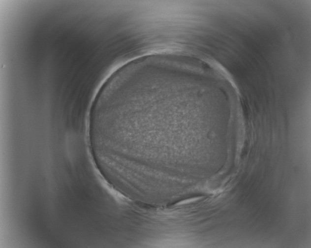 X0000066101099200603241512