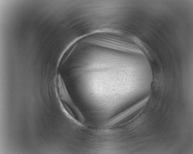 X0000066101100200603241512