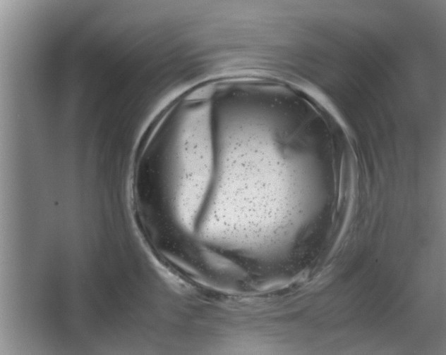 X0000066101101200603241512