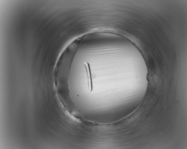 X0000066101102200603241512