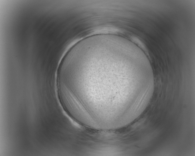 X0000066101103200603241512