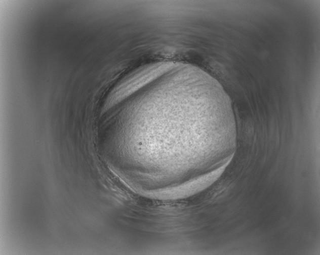 X0000066101105200603241511