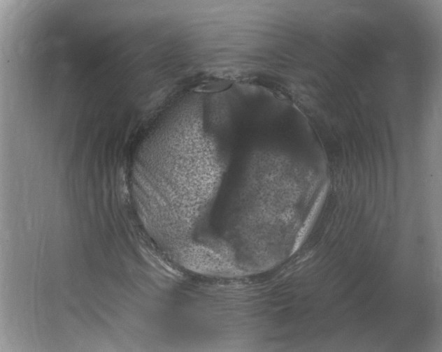 X0000066101106200603241511