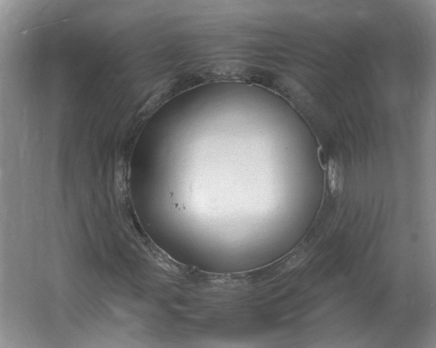 X0000066101107200603241511