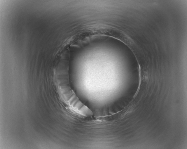 X0000066101108200603241511