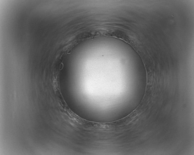 X0000066101109200603241511