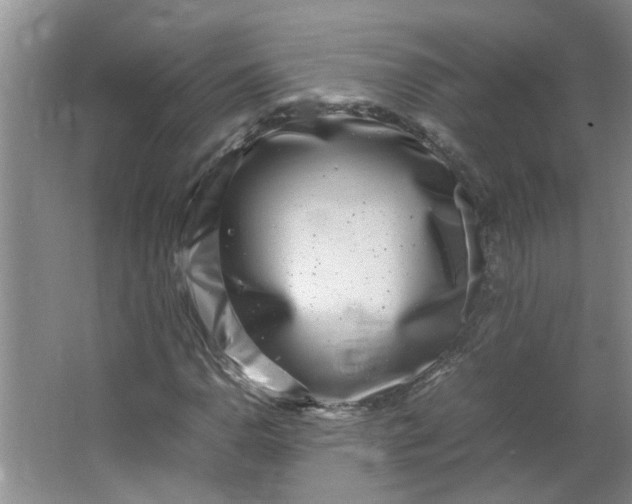 X0000066101110200603241511