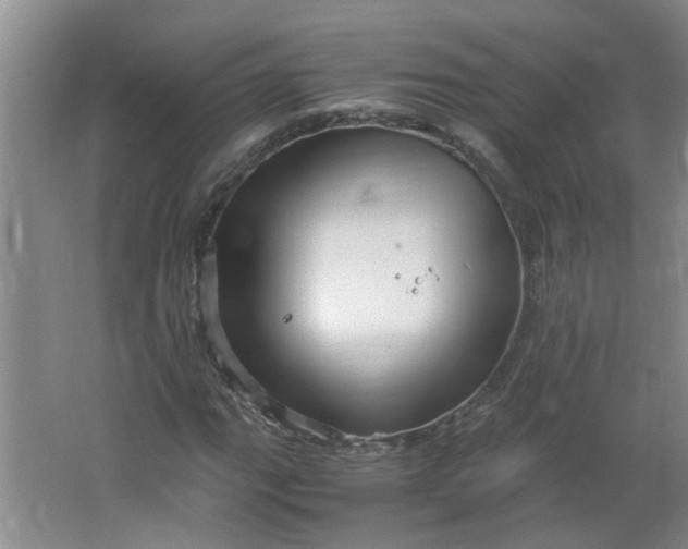 X0000066101111200603241511