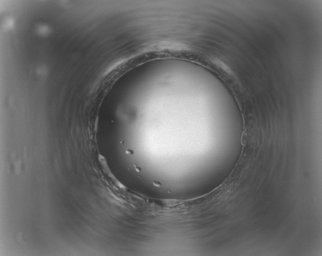 X0000066101112200603241511