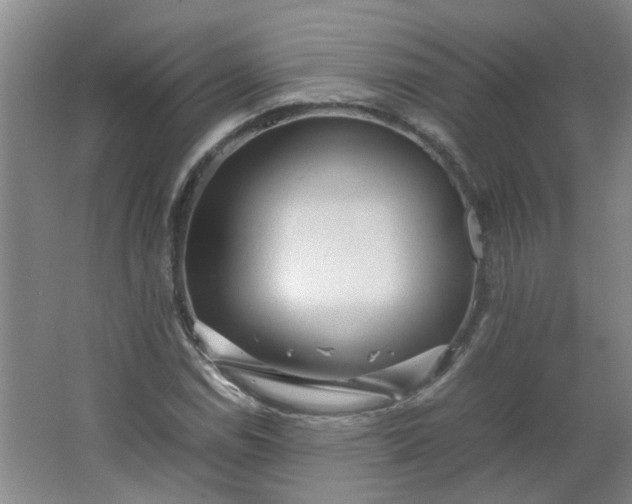 X0000066101114200603241511