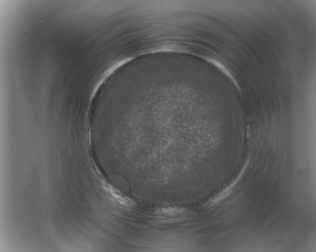 X0000066101117200603241511