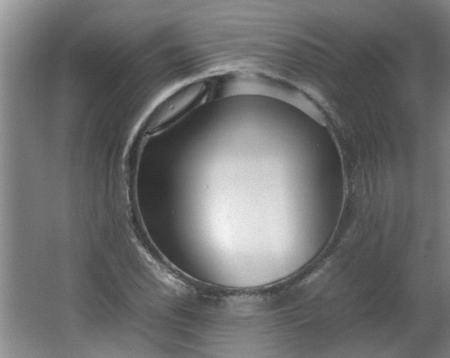 X0000066101118200603241511