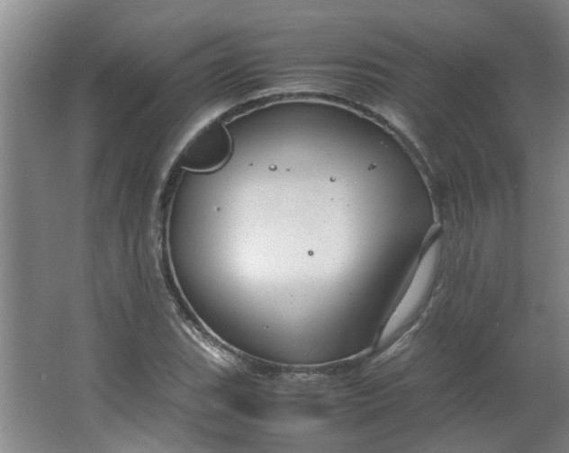 X0000066101119200603241511