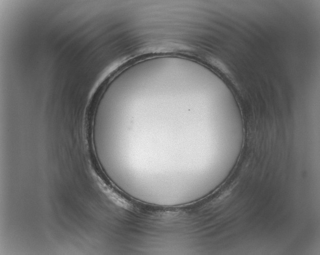 X0000066101122200603241511