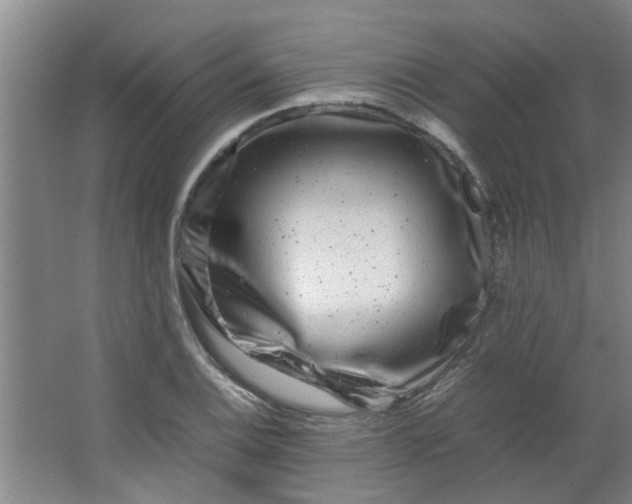 X0000066101124200603241511