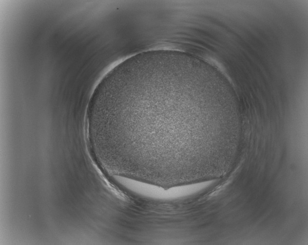 X0000066101125200603241511