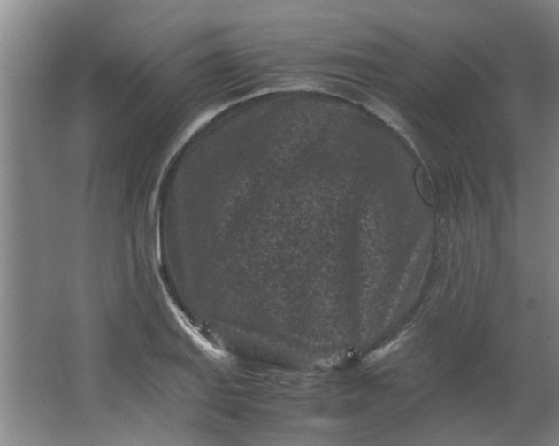 X0000066101127200603241511