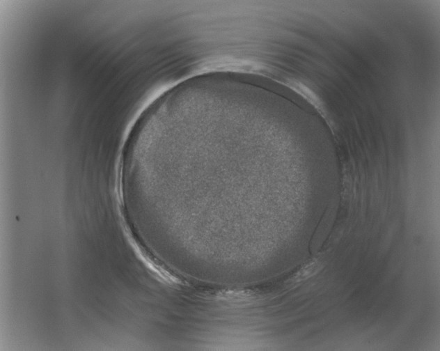 X0000066101128200603241511