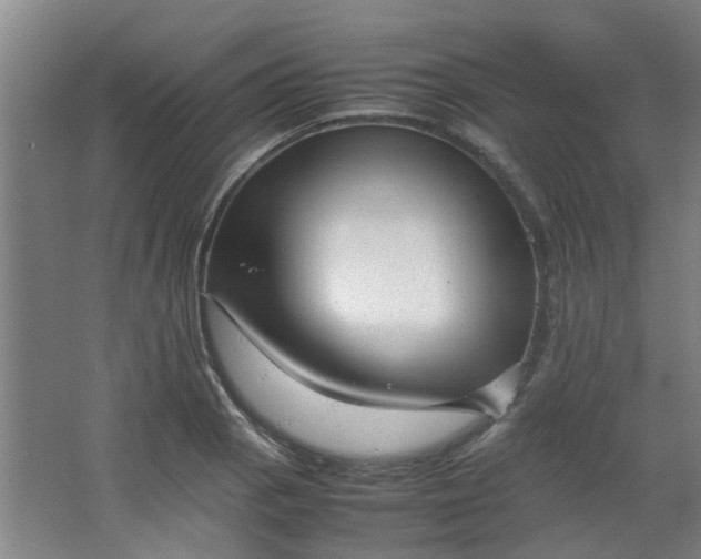 X0000066101129200603241511