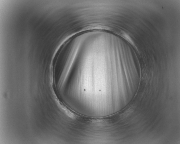 X0000066101132200603241511