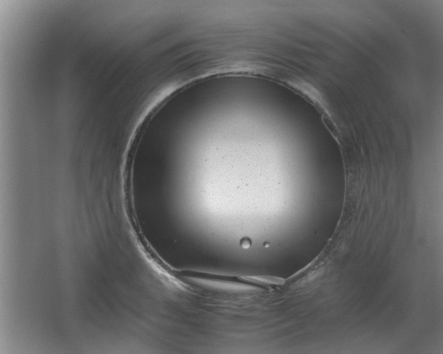 X0000066101135200603241511