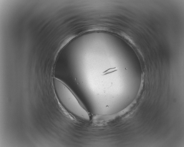 X0000066101137200603241511