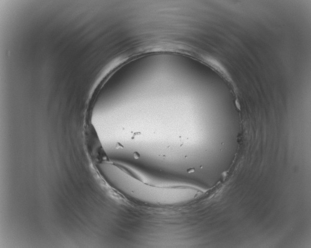 X0000066101138200603241511