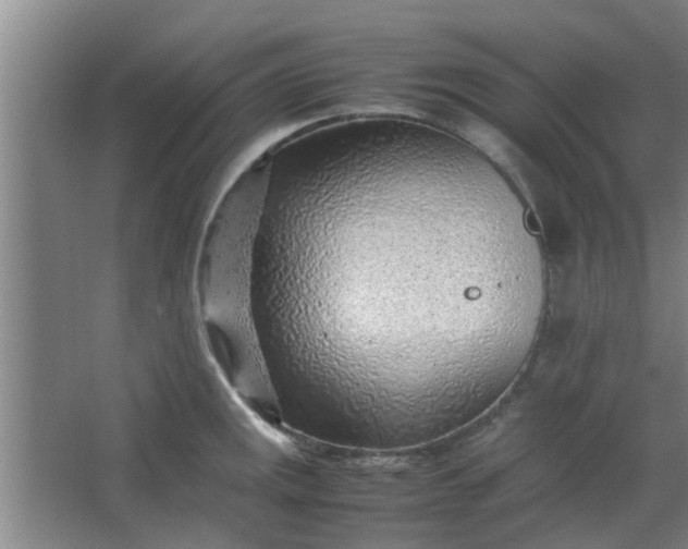 X0000066101141200603241511