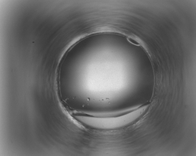 X0000066101142200603241511