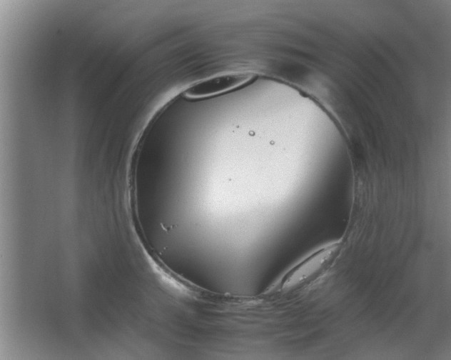 X0000066101143200603241511