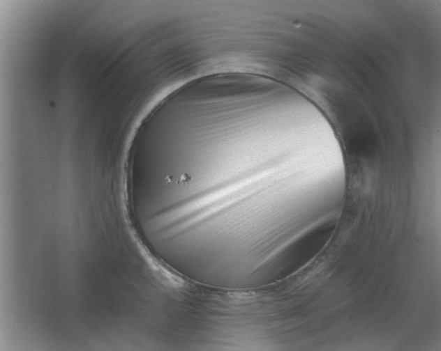 X0000066101144200603241511