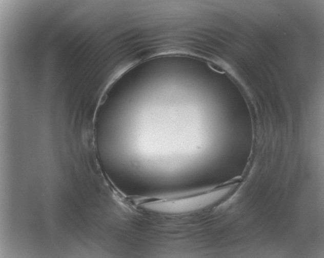 X0000066101145200603241511