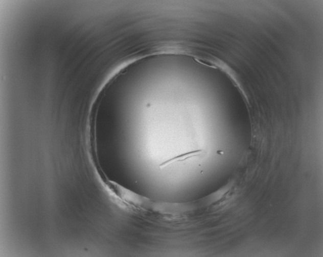 X0000066101147200603241511