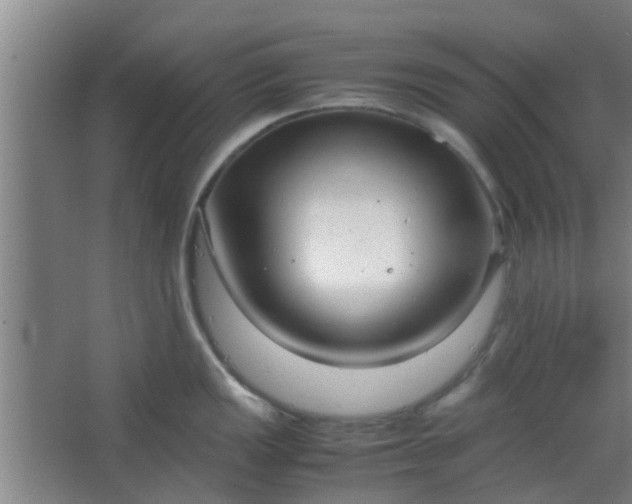 X0000066101149200603241511