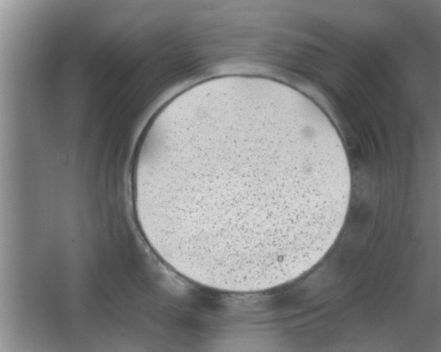 X0000066101150200603241511