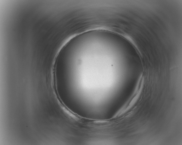 X0000066101151200603241511