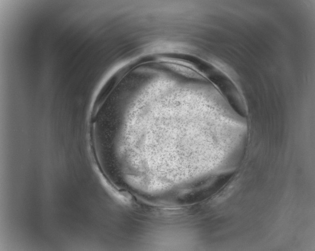 X0000066101152200603241511