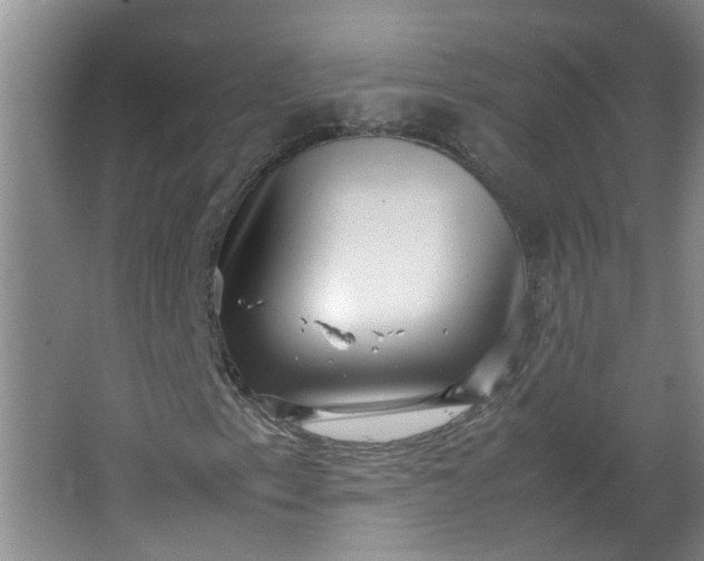 X0000066101153200603241511