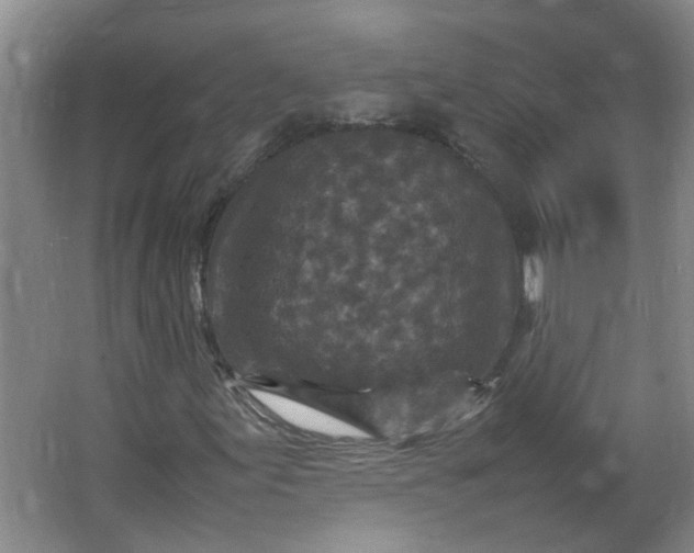 X0000066101155200603241511