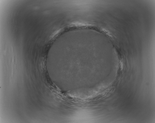 X0000066101157200603241511