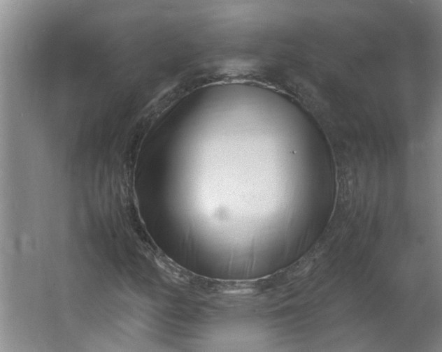 X0000066101158200603241511